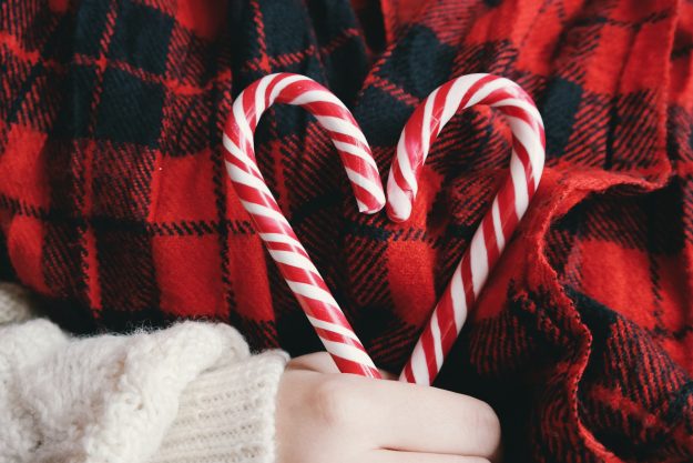 Holiday Survival Guide